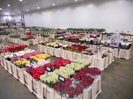 We did not find results for: Fresh Flowers Supplies Savin Wholesalers