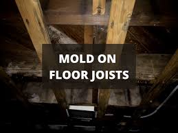 mold on floor joists in crawl e