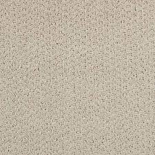 triexta pattern installed carpet 0549d