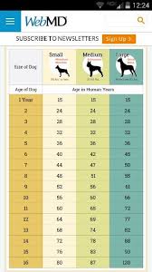 Dog Human Age Dog Ages Dog Age Chart Dog Care
