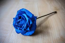 blue rose meaning and symbolism in