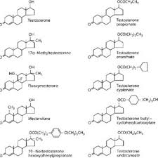 5 Multiple Dose Pharmacokinetics Of Testosterone Propionate