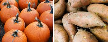 pumpkins vs sweet potatoes