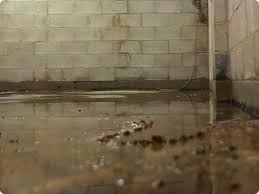 Basement Waterproofing In Newmarket Do