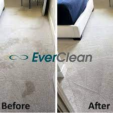 everclean nashville updated march