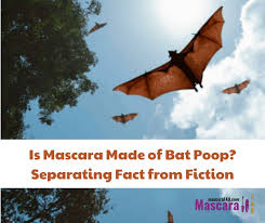 is mascara made of bat separating