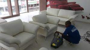 sofa shooing and cleaning services