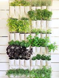 9 Diy Vertical Gardens For Better Herbs