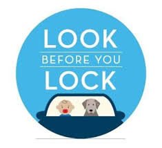 Image result for look before you lock