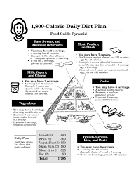 Daily Diet Chart 5 Free Templates In Pdf Word Excel Download