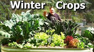 growing and sowing now in winter garden