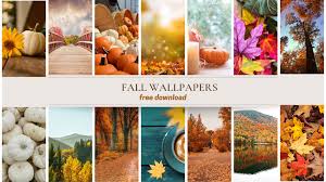 fall wallpapers for iphone free