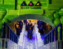 moody gardens galveston attractions