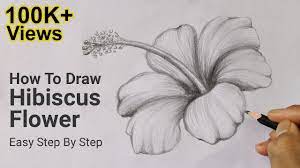 how to draw hibiscus flower easy step