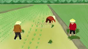 Lihat ide lainnya tentang animasi, gambar, gambar anime. Landskap Pertanian Desa Gambar Unduh Gratis Imej 630005147 Format Jpg My Lovepik Com