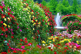 Garden Flowers Fountain Lovely