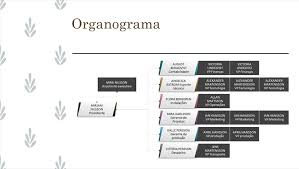 Horizontal Organization Chart