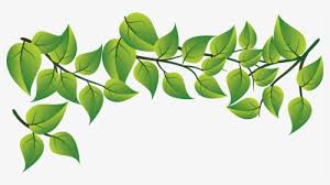 vector leaves png images free