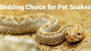 Bedding Choice For Pet Snakes The