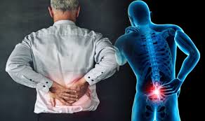 lower back pain a what why and how