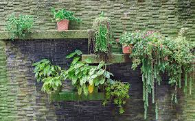 Living Wall And Vertical Planter
