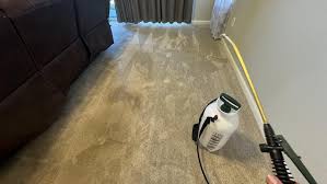 carpet cleaning services in loris sc