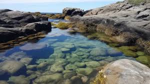 Tide Pool Picture Background Images Hd