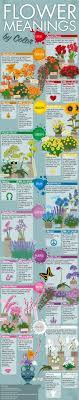 infographic flower meanings by color