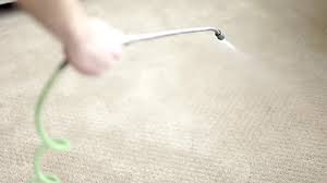 bay area page 4 zerorez carpet cleaning