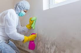 To Clean Mould On Walls And Ceilings