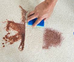 preventing carpet stains in your home
