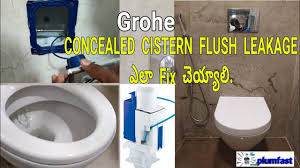 grohe concealed cistern flush tank
