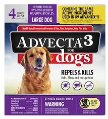 25 best tick preventions for dogs in