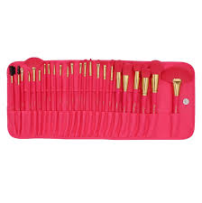 brushes set 24 pcs pink and gold