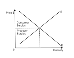 We first must find equilibrium points. Ib Economics Notes 1 6 Market Efficiency
