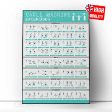 cable machine workout chart exercise