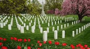 Image result for Tombstones Images and Prices in Zimbabwe