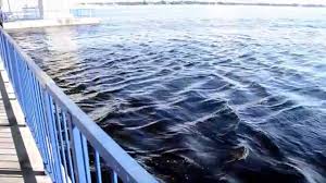 Roosevelt Bridge Stuart Fl King Tide Rushing Upriver Youtube