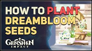 to plant dreambloom seed genshin impact