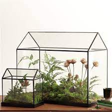 Mini Tabletop Handmade Greenhouse