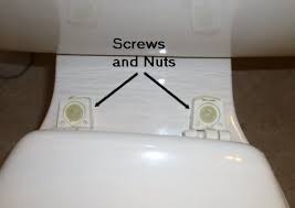 How To Replace A Toilet Seat Judy