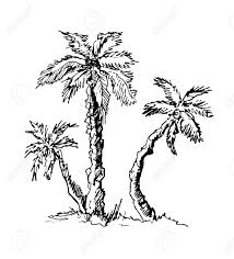 Print out the file on a4 or letter size cardstock. Tropical Palm Trees Black Silhouettes Isoleited On White Background Royalty Free Cliparts Vectors And Stock Illustration Image 100303769