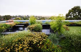 rooftop garden melbourne australia