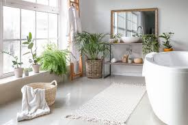 Ecco un elenco di piante da interni che si adattano meglio alle condizioni di umidità e di luce tipiche di un bagno: Piante Da Bagno Idee E Specie Adatte Desivero