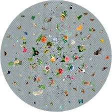 garden of eden round moooi carpets