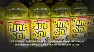 clean laminate floors with pine sol
