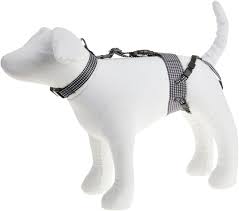 Chastity belt for male dogs