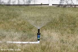 Once your channels are all dug, it's really just about connecting everything together. Diy Above Ground Sprinkler System Crafty Blog Stalker