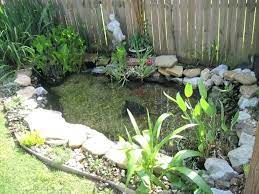 Small Backyard Pond Against Fence
