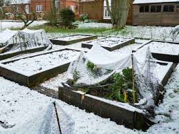How To Winterize A Raised Garden Bed 9